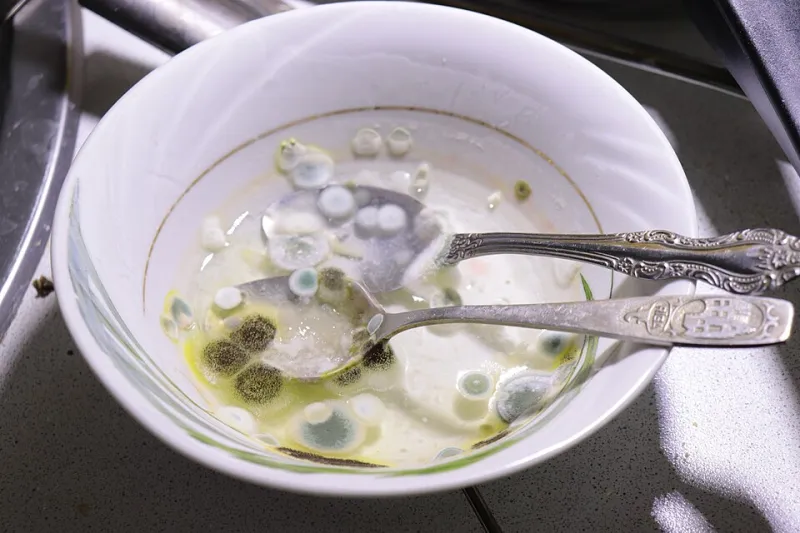 Eating Without the Rulebook: Five Americans Who Finally Made Peace With Food